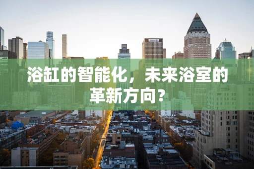 浴缸的智能化，未来浴室的革新方向？