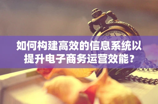 如何构建高效的信息系统以提升电子商务运营效能？