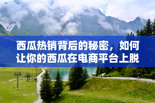 西瓜热销背后的秘密，如何让你的西瓜在电商平台上脱颖而出？