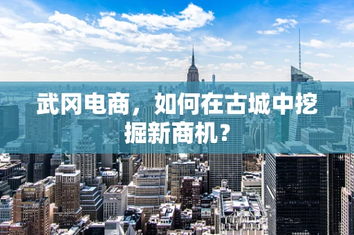 武冈电商，如何在古城中挖掘新商机？