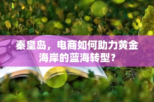 秦皇岛，电商如何助力黄金海岸的蓝海转型？