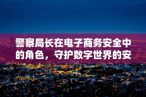 警察局长在电子商务安全中的角色，守护数字世界的安宁？