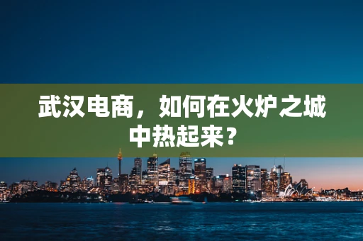 武汉电商，如何在火炉之城中热起来？