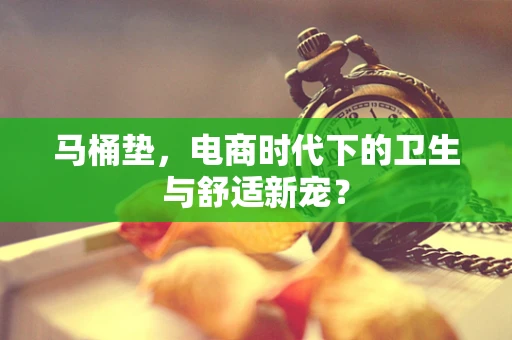 马桶垫，电商时代下的卫生与舒适新宠？