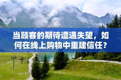 当顾客的期待遭遇失望，如何在线上购物中重建信任？