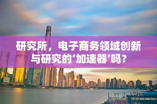 研究所，电子商务领域创新与研究的‘加速器’吗？