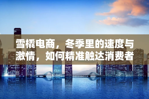 雪橇电商，冬季里的速度与激情，如何精准触达消费者？