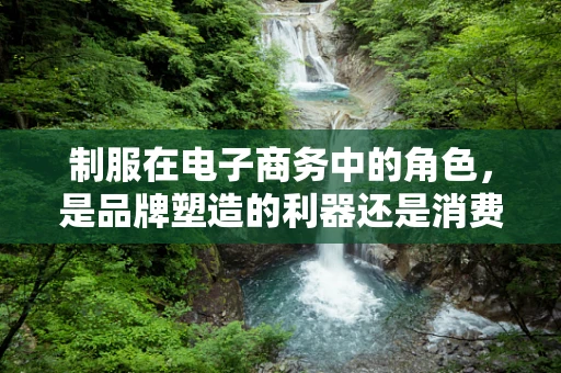 制服在电子商务中的角色，是品牌塑造的利器还是消费者体验的绊脚石？