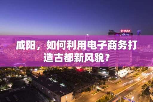 咸阳，如何利用电子商务打造古都新风貌？