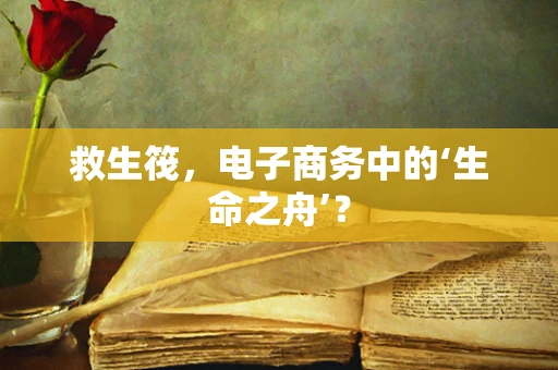 救生筏，电子商务中的‘生命之舟’？