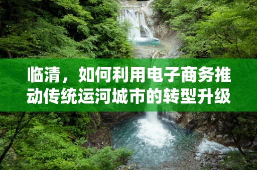 临清，如何利用电子商务推动传统运河城市的转型升级？