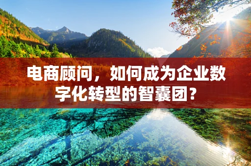 电商顾问，如何成为企业数字化转型的智囊团？