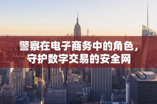 警察在电子商务中的角色，守护数字交易的安全网