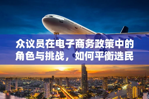 众议员在电子商务政策中的角色与挑战，如何平衡选民利益与行业创新？