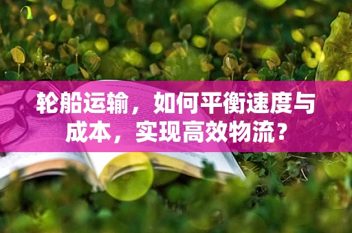 轮船运输，如何平衡速度与成本，实现高效物流？