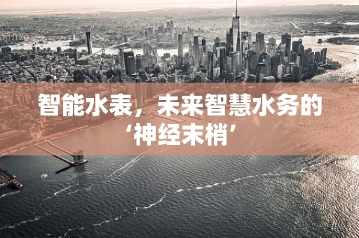 智能水表，未来智慧水务的‘神经末梢’