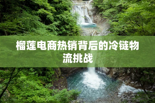 榴莲电商热销背后的冷链物流挑战