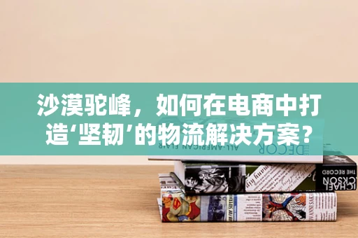 沙漠驼峰，如何在电商中打造‘坚韧’的物流解决方案？