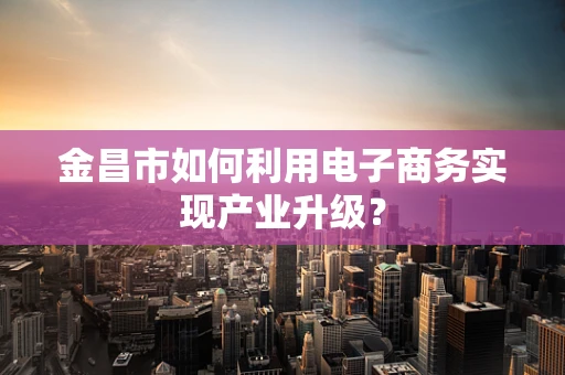 金昌市如何利用电子商务实现产业升级？