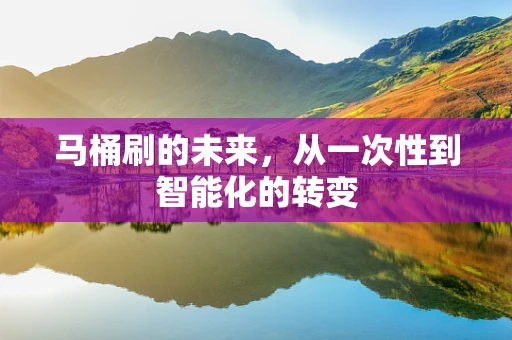 马桶刷的未来，从一次性到智能化的转变