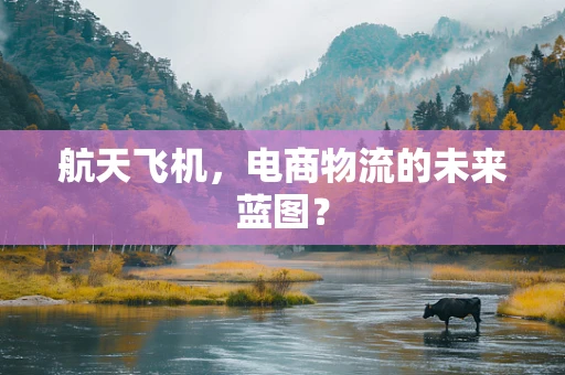 航天飞机，电商物流的未来蓝图？