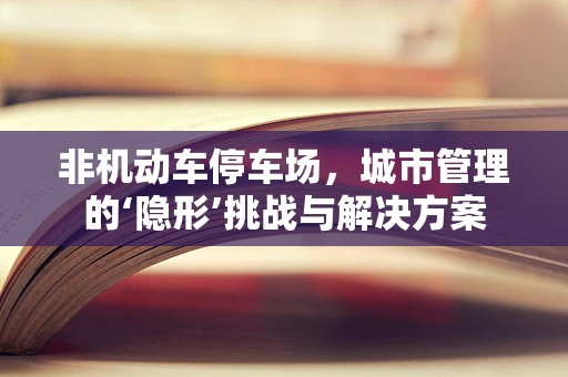 非机动车停车场，城市管理的‘隐形’挑战与解决方案