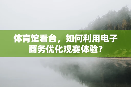体育馆看台，如何利用电子商务优化观赛体验？
