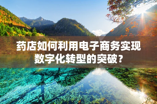 药店如何利用电子商务实现数字化转型的突破？
