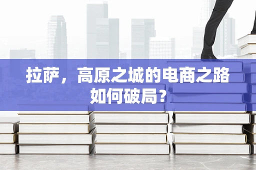 拉萨，高原之城的电商之路如何破局？