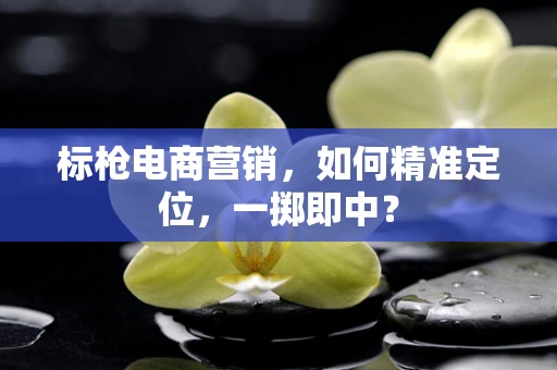 标枪电商营销，如何精准定位，一掷即中？