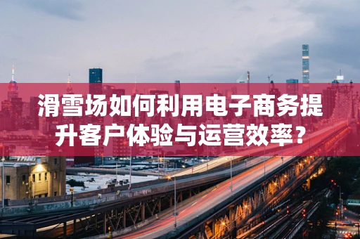 滑雪场如何利用电子商务提升客户体验与运营效率？