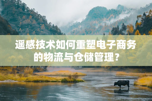 遥感技术如何重塑电子商务的物流与仓储管理？