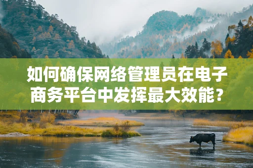 如何确保网络管理员在电子商务平台中发挥最大效能？
