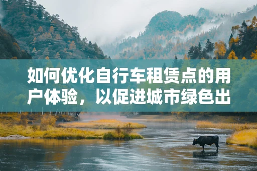 如何优化自行车租赁点的用户体验，以促进城市绿色出行？