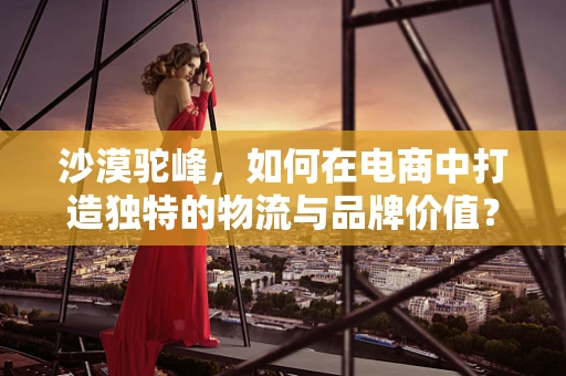 沙漠驼峰，如何在电商中打造独特的物流与品牌价值？