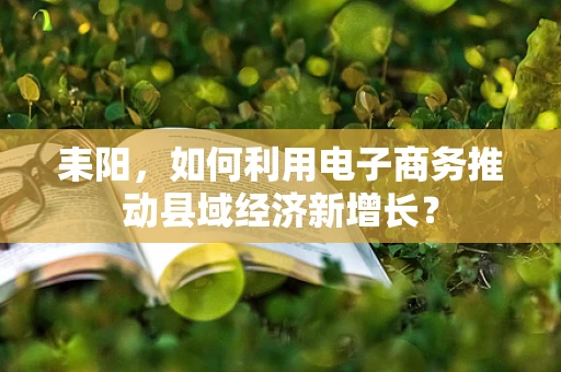 耒阳，如何利用电子商务推动县域经济新增长？