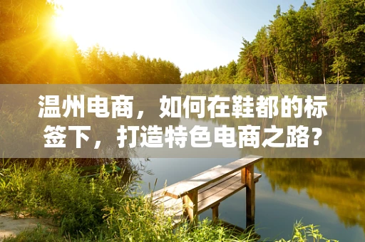 温州电商，如何在鞋都的标签下，打造特色电商之路？