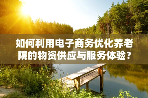 如何利用电子商务优化养老院的物资供应与服务体验？