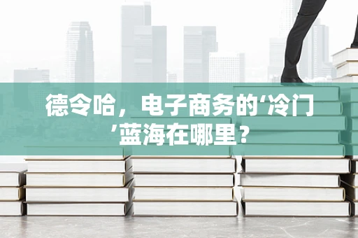 德令哈，电子商务的‘冷门’蓝海在哪里？