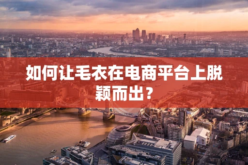 如何让毛衣在电商平台上脱颖而出？
