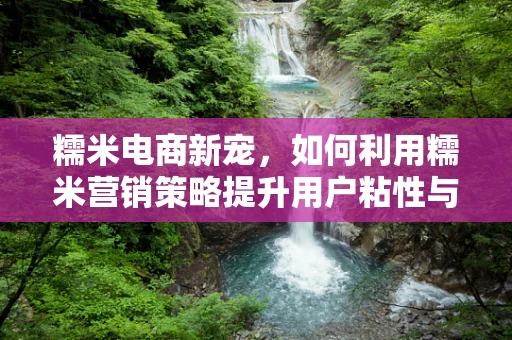 糯米电商新宠，如何利用糯米营销策略提升用户粘性与转化率？