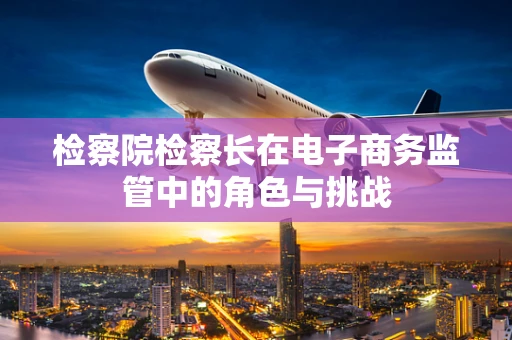 检察院检察长在电子商务监管中的角色与挑战