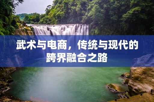 武术与电商，传统与现代的跨界融合之路