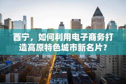 西宁，如何利用电子商务打造高原特色城市新名片？