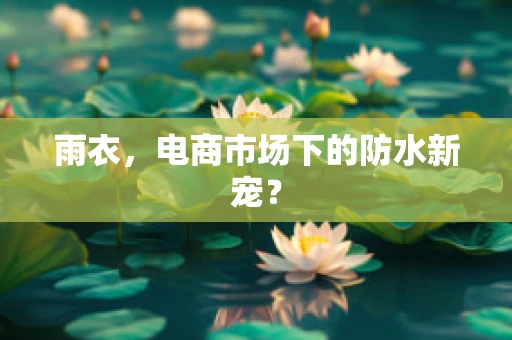 雨衣，电商市场下的防水新宠？