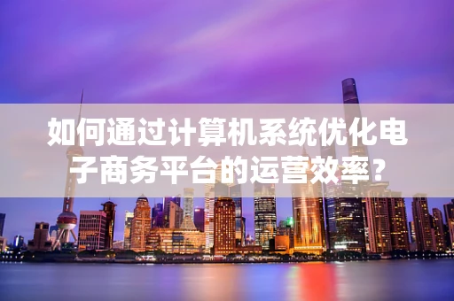 如何通过计算机系统优化电子商务平台的运营效率？