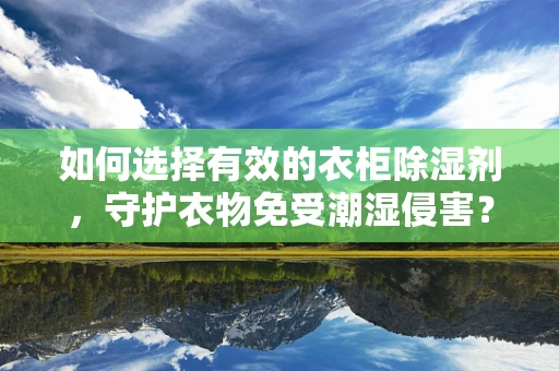 如何选择有效的衣柜除湿剂，守护衣物免受潮湿侵害？
