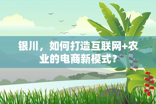 银川，如何打造互联网+农业的电商新模式？