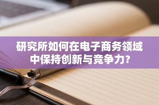 研究所如何在电子商务领域中保持创新与竞争力？