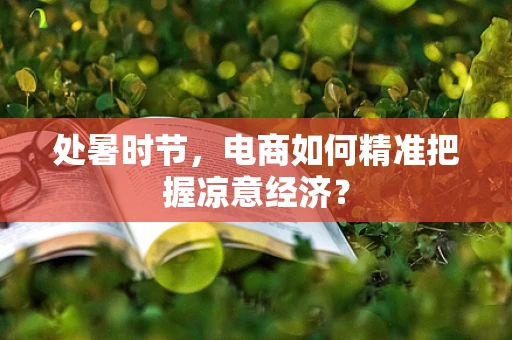处暑时节，电商如何精准把握凉意经济？